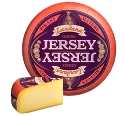 Landana Jersey Gouda PIKANT 